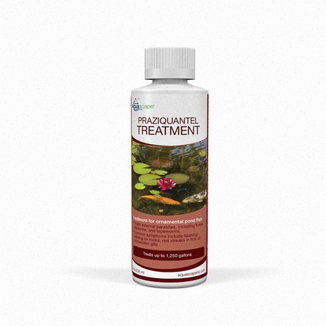 Praziquantel generico