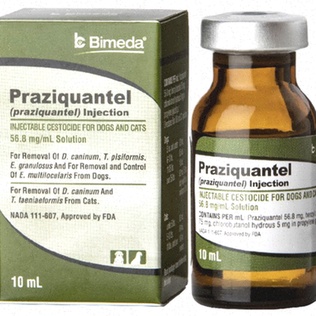 Praziquantel