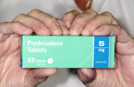 Prednisolone generico